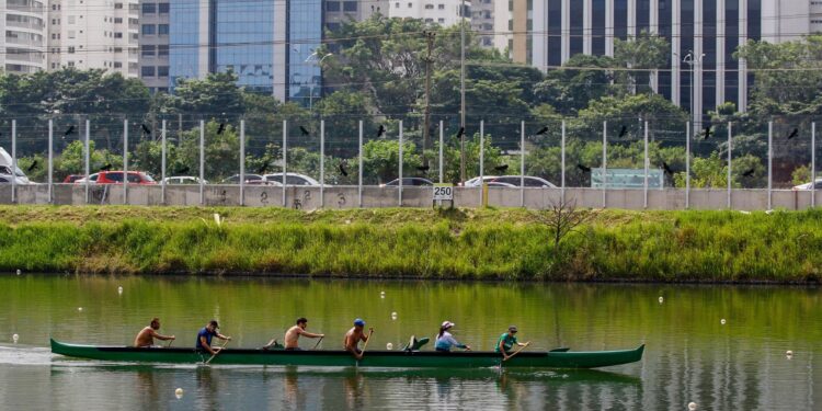 USP abre inscrições todo semestre para aulas de remo e canoagem para a terceira idade